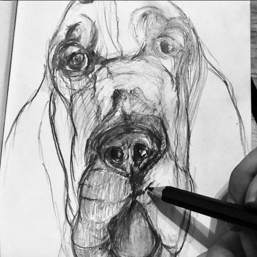 Your place for inspiration. We create one-of-a-kind custom illustrations of your furry friends. #Pets #Sketches #Lover of Animals