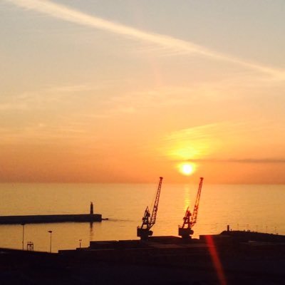 Extranjeria_CH's profile picture. 