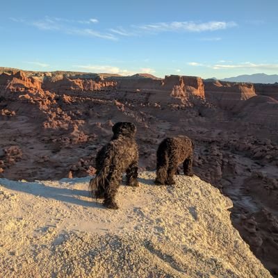 solofeat's profile picture. Cougs. Vikes. Aviation. Eater of foods. Mostly Cougs though.