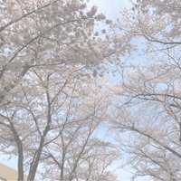 ぽん (@ponponppon05) 's Twitter Profile