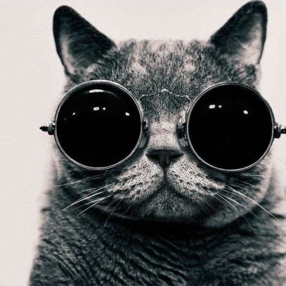 metatron67's profile picture. DISEÑADORA  CON MTRIA Y DOCTO?, DOCENTE Y PROFESIONISTA, IDEALISTA, AMANTE DE LOS HOMBRES GUAPOS, INTELIGENTES Y DIVERTIDOS. SENCILLITA, SARCASTICA  & DIVA.