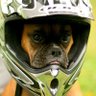 sieferasesores's profile picture. Live life at 300 kph 🏍️ 
MAGA Team
Plis,NO DM
🇻🇪🇺🇲🇵🇹