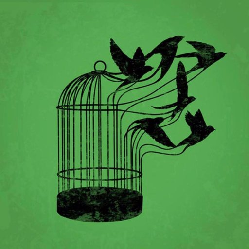 Libertad_1521's profile picture. Un ciudadano que desea hacer la diferencia, con intenciones de sembrar una semilla que impulse un cambio positivo.