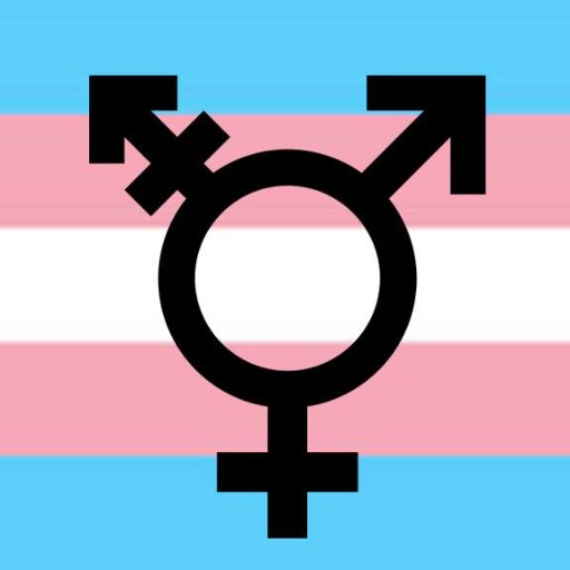 I am a transgender woman rebelling against the collective assault on sanity and free speech!