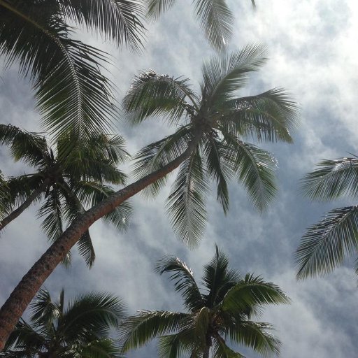 LouisHarwood1's profile picture. 