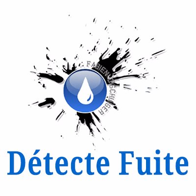 Une société valaisanne spécialisée dans la localisation de fuite d’eau sur toutes les conduites sous pression. A l’intérieur des bâtiments, comme à l’extérieur.