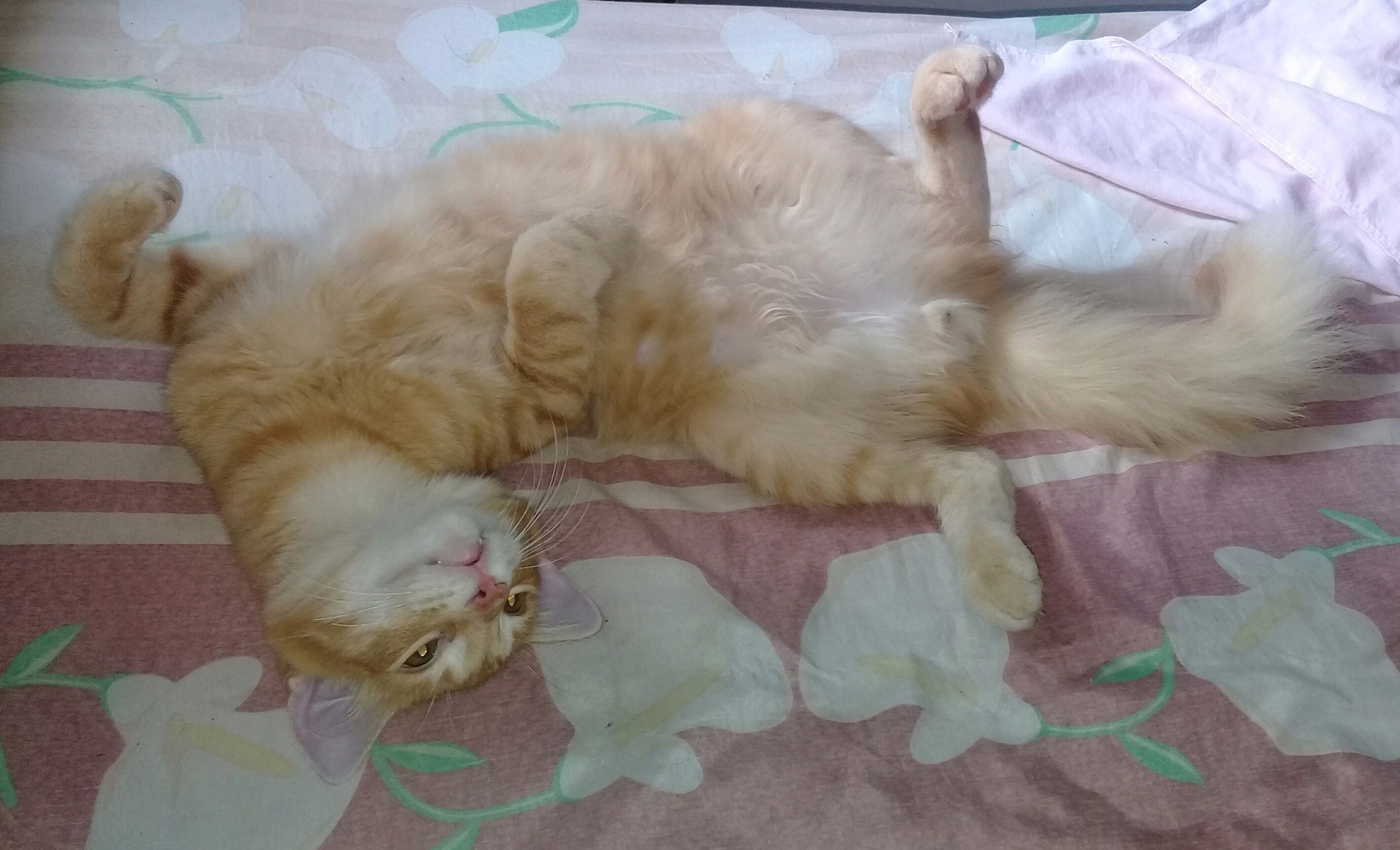 EduardoAndrsGa2's profile picture. Los Socios