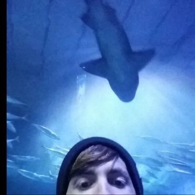 Music and Game enthusiast || Understanding how everything works is my passion
