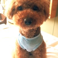 ぶぶ (@ekj7fsbinfrx740) 's Twitter Profile Photo ぶぶ (@ekj7fsbinfrx740) 's Twitter Profile Photo