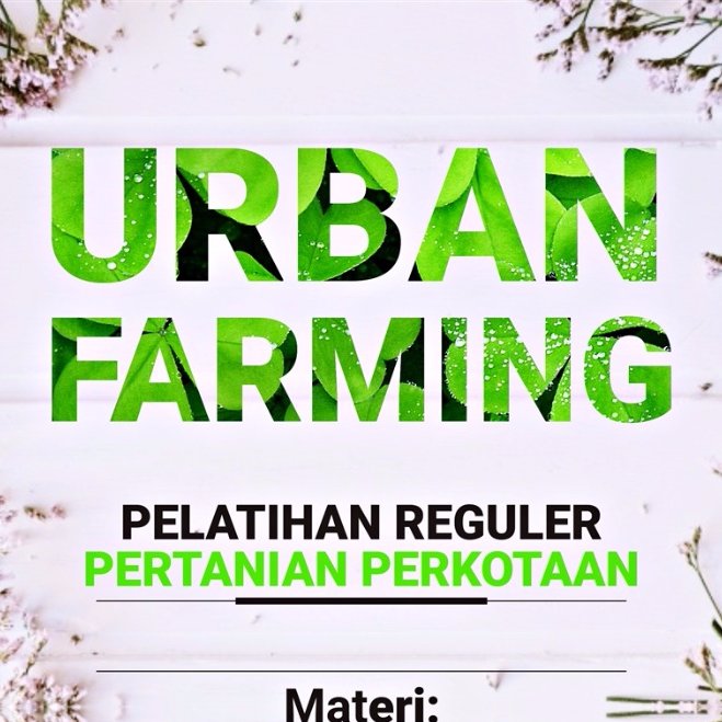 Pelatihan Urban Farming.
Sentra Pertanian Perkotaan.
SMK Negeri 63 Pertanian Jakarta