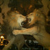 Kevin W. McGrann (@kmaguillacuddy) Twitter profile photo Kevin W. McGrann (@kmaguillacuddy) Twitter profile photo