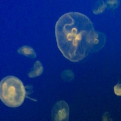ひろさんのプロフィール画像