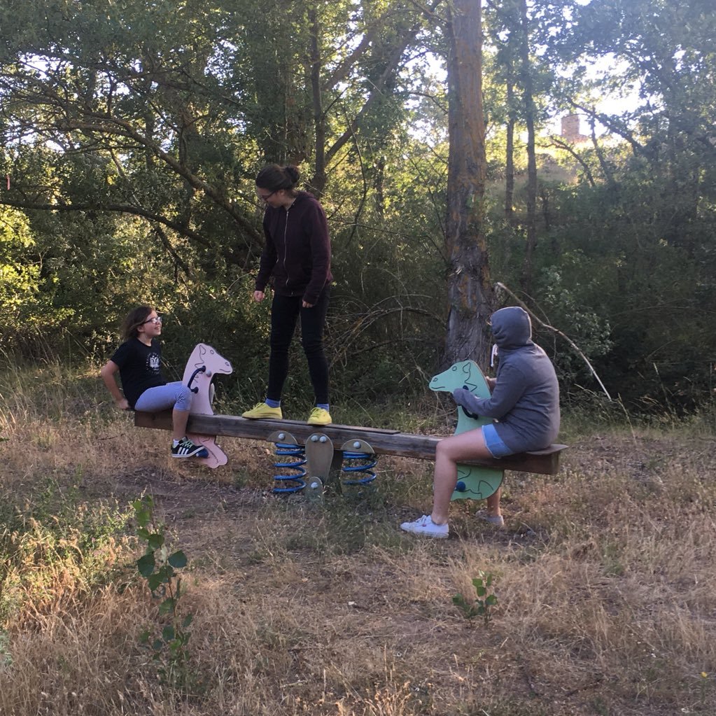 planticora's profile picture. La vida contemplativa del briofito