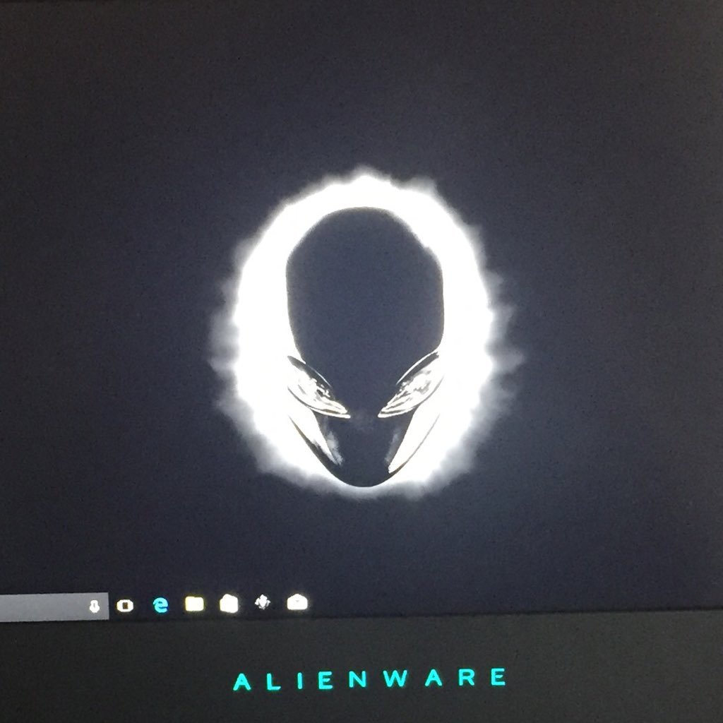 wqrdmt's profile picture. 