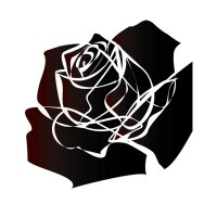 Black Rose Gym(@Blackrosegym) 's Twitter Profile Photo