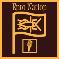 EntoNation (@entonation) 's Twitter Profile Photo