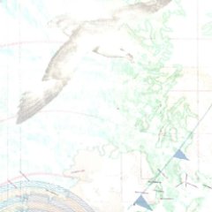 GiniSimpson's profile picture. @STAimFor @MIDdetention