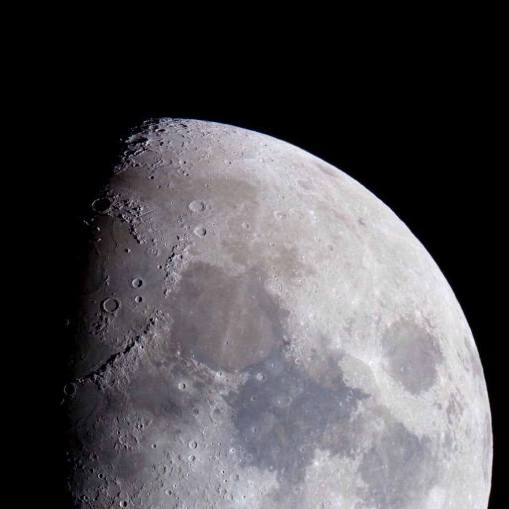 BeforeYouBowBow's profile picture. an unentitled millennial 🇮🇪