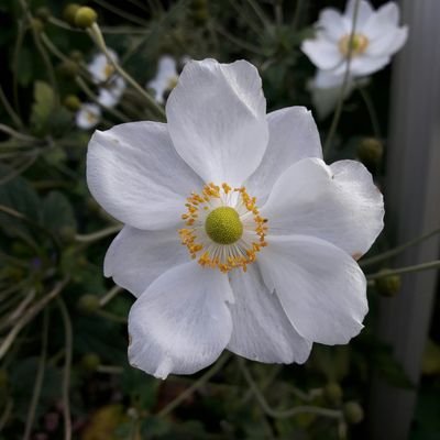 Itan_Corro's profile picture. 