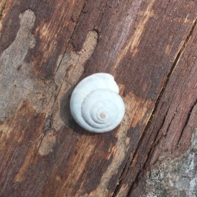 Piemath's profile picture. Sciences & espace