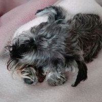 Dr Raquel Cuevas 🌈 (@ra_cuevas) 's Twitter Profile Photo