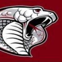 Triton Golf (@tritoncobragolf) 's Twitter Profile Photo Triton Golf (@tritoncobragolf) 's Twitter Profile Photo