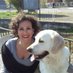 luisa lombardi (@lombardilomby67) Twitter profile photo luisa lombardi (@lombardilomby67) Twitter profile photo