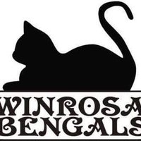Winrosa Bengals(@WinrosaB) 's Twitter Profile Photo