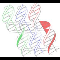 Marc Alard Morgan (@marcalardmorgan) 's Twitter Profile