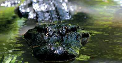 landusepartner's profile picture. 