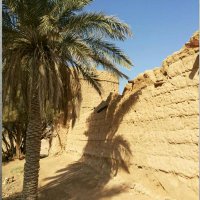 خالد أبانمي (@khalid_abanmii) 's Twitter Profile