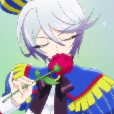 Shikyoin Hibiki, Pripara Idol | WIXOSS Wiki | Fandom
