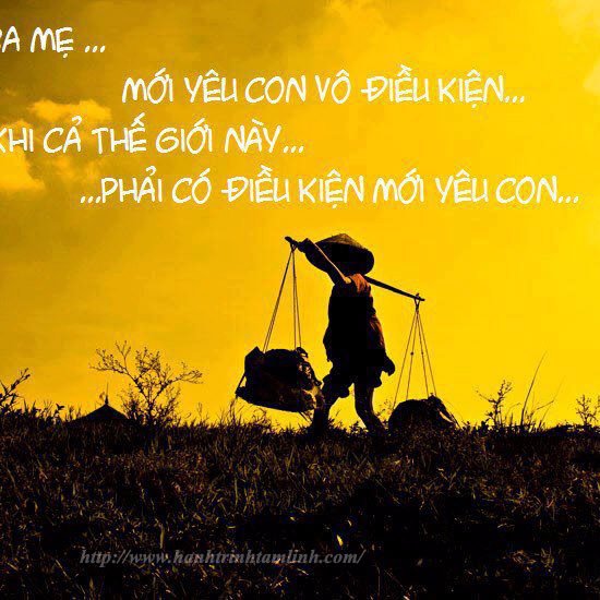 NguynHngTin15's profile picture. 