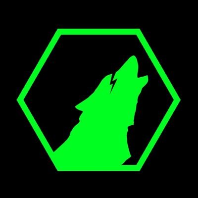 GanxolGG's profile picture. Block Game Youtube gamer, hoping to entertain you beautiful people