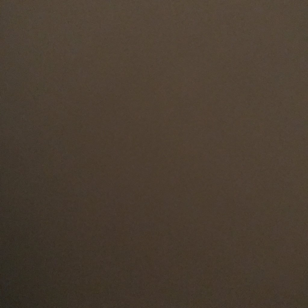 moose_duck_'s profile picture. 