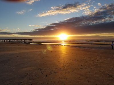 jjovic613's profile picture. Technology Historian