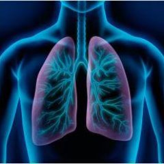 The mission of #PulmonaryHorizons is to offer high #quality #multidisciplinary #COPD #education in #learning environment centered on #patient's #perspective.