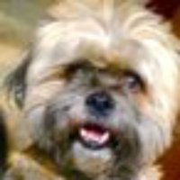 2wacky@2wacky☮️🟦 (@gopabomination) 's Twitter Profile
