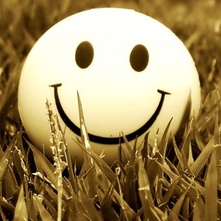 Rachana006's profile picture. I am Rachana, working as a Business Development Executive at FuGenX technology. FuGenX is a  CMMi Level 3 company in India.