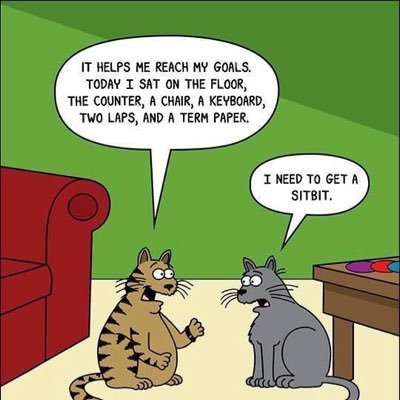 kimbrola's profile picture. 