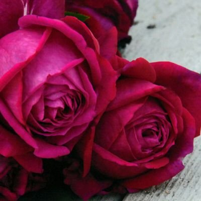 ubamenonatu's profile picture. 愛と自然に包まれる美しい地球🌟☺️
リポストは、賛同だけのものでは有りません。
つぶやき少ないです。_(._.)_