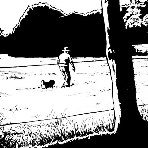 PotentialMode's profile picture. 