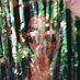 Matasila Freshwater (@matasilaa) Twitter profile photo Matasila Freshwater (@matasilaa) Twitter profile photo