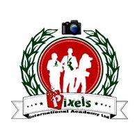 Pixels Creative Academy(@pixelsacademyng) 's Twitter Profile Photo