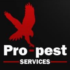 Family-run pest control company based in Essex, with over 20 years experience in both domestic and commercial settings.