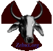 zebux (@zebux) Twitter profile photo zebux (@zebux) Twitter profile photo