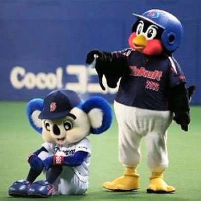 yucha_n31's profile picture. 、