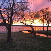 Kaara Klepper (@kaaraklepper) 's Twitter Profile