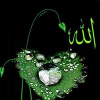 وهج (@podwpofpxnjb1ok) 's Twitter Profile