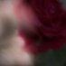 Paul Greer ✍️📓🎥🌎 (@burningfp) Twitter profile photo Paul Greer ✍️📓🎥🌎 (@burningfp) Twitter profile photo